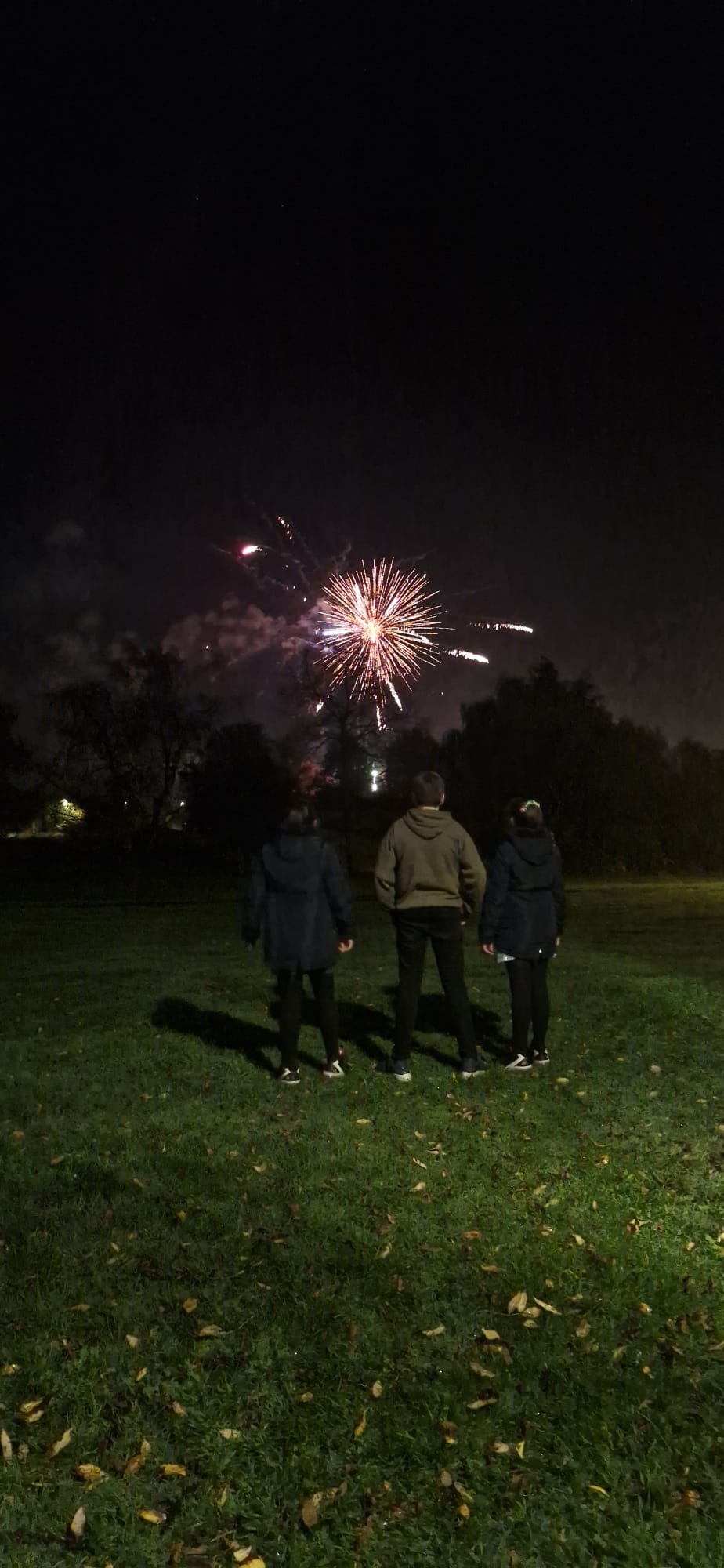 A Season for Reflection, Warmth, and New Beginnings