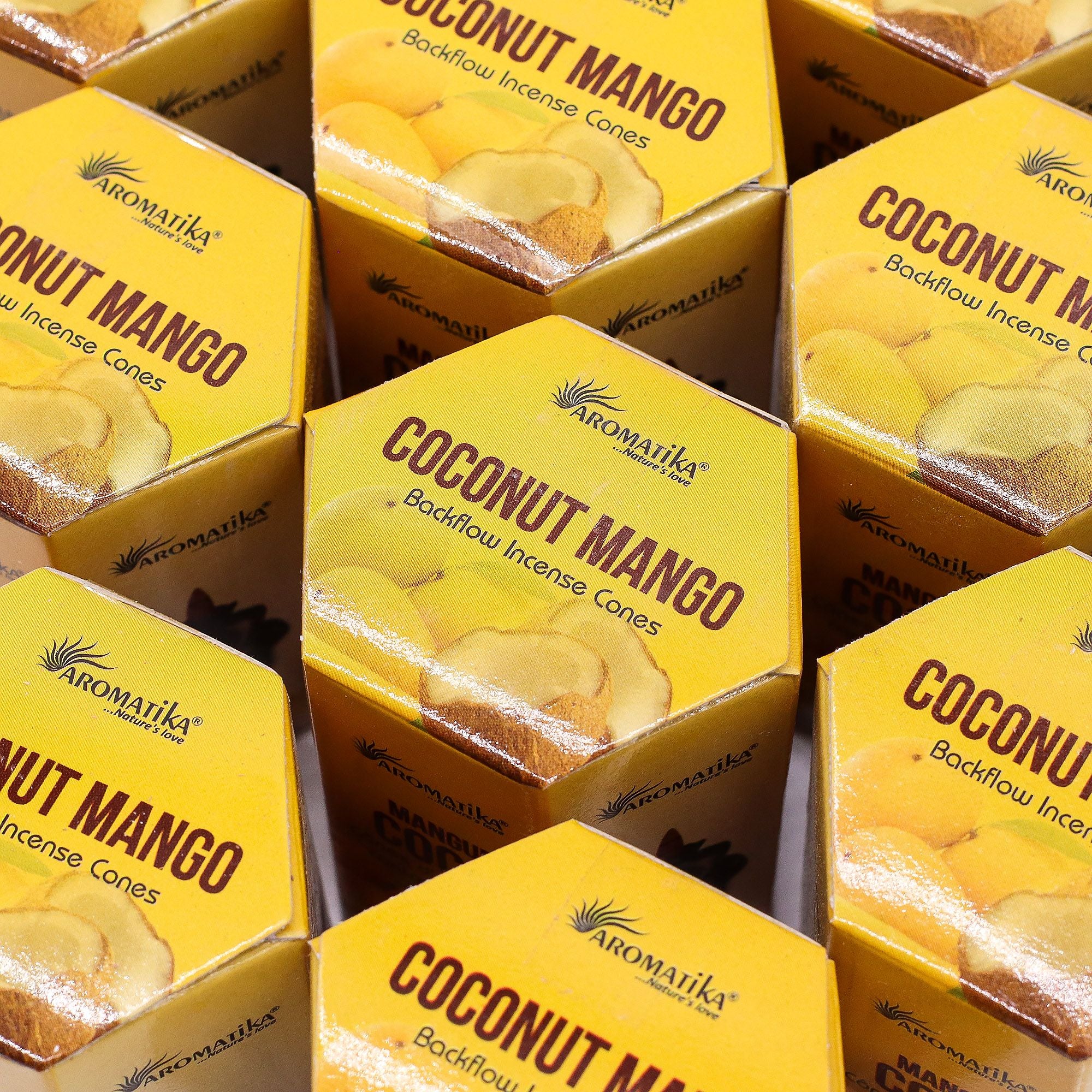Pack of 10 Masala Backflow Incense - Coconut & Mango
